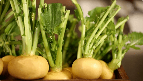 Tailment for cystitis